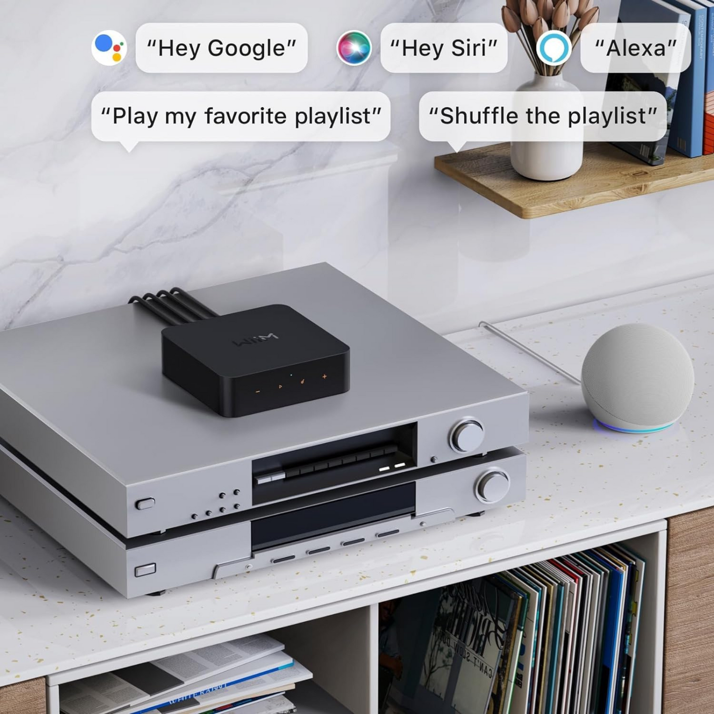 WiiM Pro v hi-fi sistemu – Povezan z ojačevalcem in zvočniki za brezskrbno predvajanje glasbe.