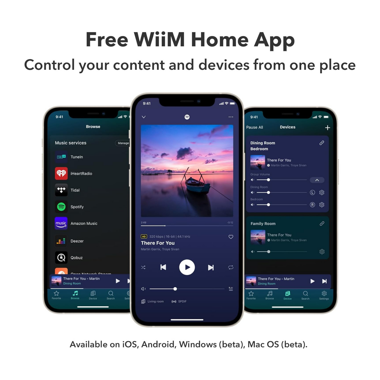 WiiM Pro Plus hi-res zvok – Podpora za 24-bit/192kHz zvok za vrhunsko zvočno izkušnjo.