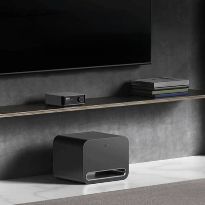 WiiM Sub Pro - 250W aktivni subwoofer